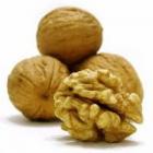 Мир орехов – многообразен,  вкусен, полезен