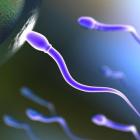 Анализ только для мужчин – спермограмма