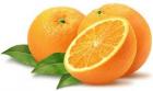 Секреты цитрусовых фруктов