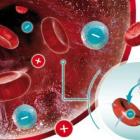 Резус-конфликт