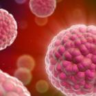 Разработка современной медицины позволит избавиться от метастаз