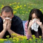 Аллергики почти не рискуют заболеть раком мозга