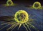Раковые клетки можно поражать воздействием магнитного поля