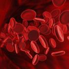 Анализ лейкоцитов в крови