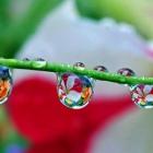 Роль воды в жизни человека