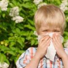 Аллергия у ребенка – большая проблема маленького человека