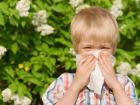 Аллергия у ребенка – большая проблема маленького человека