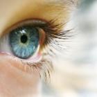 Чтобы глаза оставались здоровые…