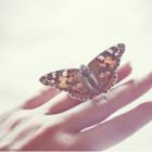 Хирургия кисти у пациентов с врожденным буллезным эпидермолизом