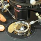 Искусственное оплодотворение: описание и риски