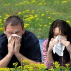 Какая бывает и как лечится аллергия?