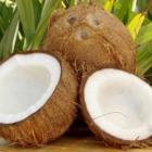 Какая польза скрывается в кокосовом орехе?