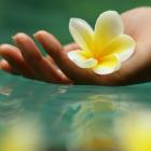 Красота спасет мир