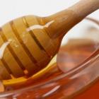 Британские ученые создали лечебный мед в лаборатории
