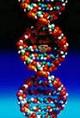ДНК – величайшее открытие ХХ века