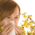 Нелегкая борьба с аллергией
