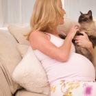 Опасная токсоплазма