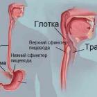 Распространенные болезни пищевода