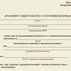 Справка 026/у или без чего не получится отдать ребенка в школу!