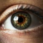 Ученые создали искусственную радужную оболочку глаза