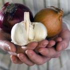 Укрепляем свой иммунитет