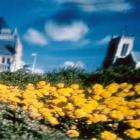 Виды и лечение астигматизма