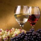 Винотерапия