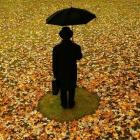 Ответы на часто задаваемые вопросы о препарате